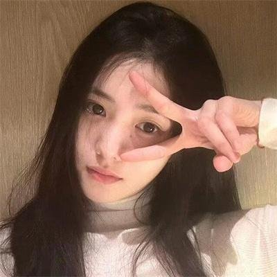 金雉鸡